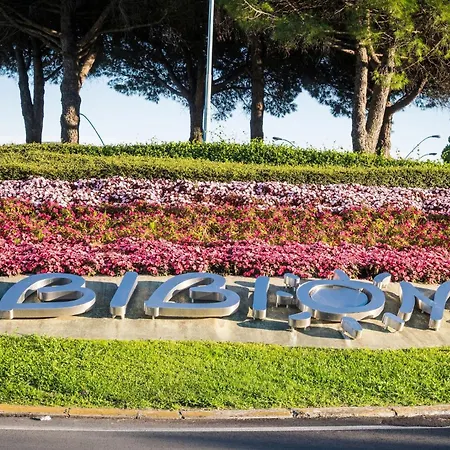 Flat In A Great Location - Beahost Apartment